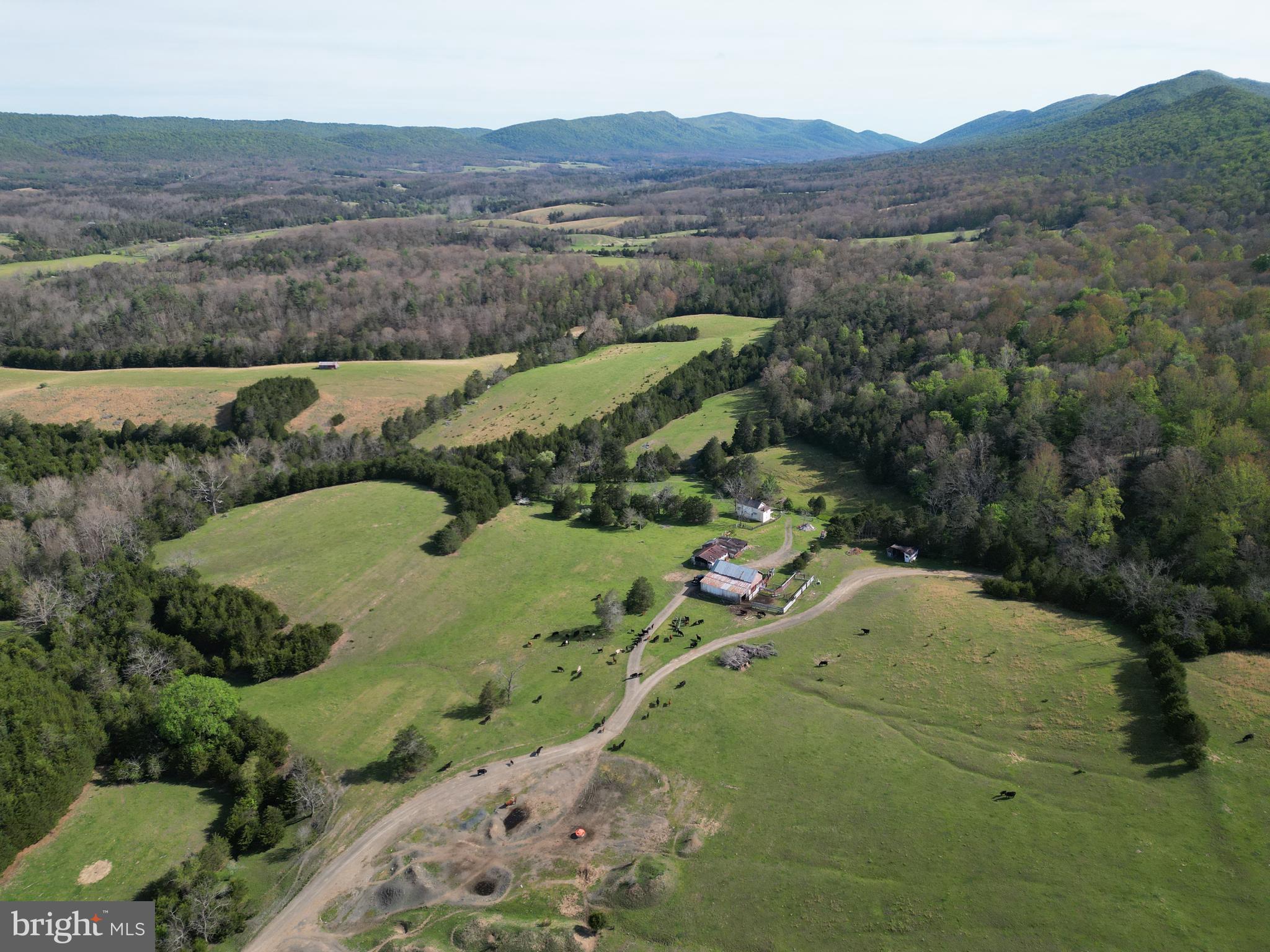 Cold Spring Hollow Lane Fort Valley, VA 22652 - Photo 92 of 106