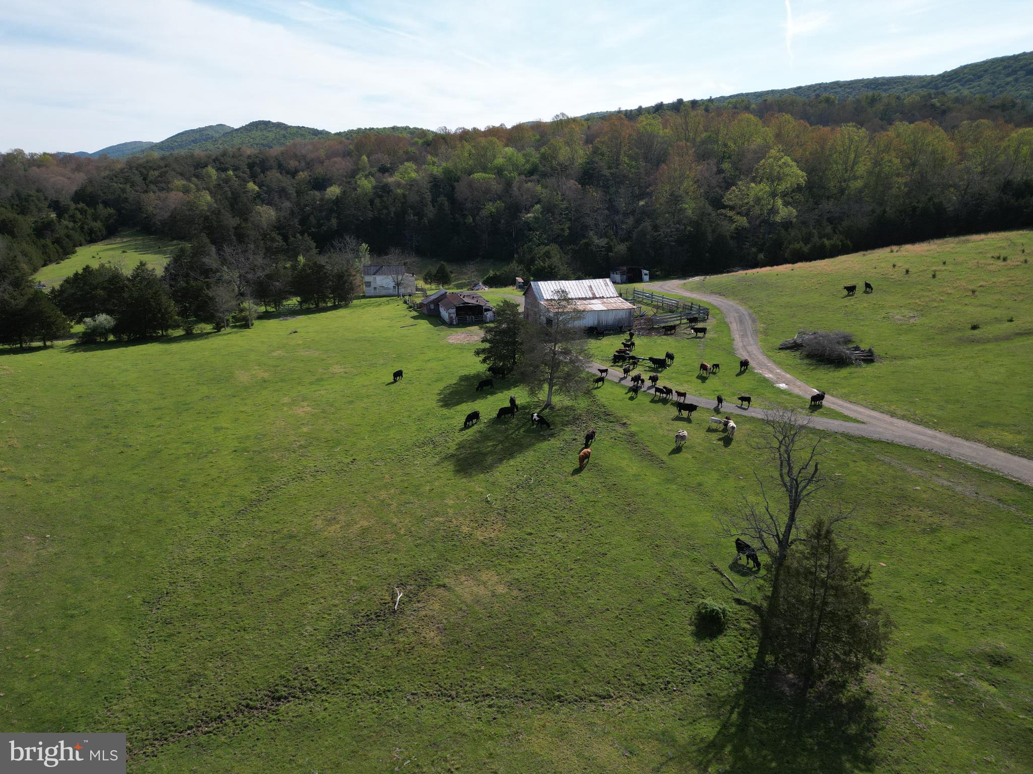Cold Spring Hollow Lane Fort Valley, VA 22652 - Photo 93 of 106