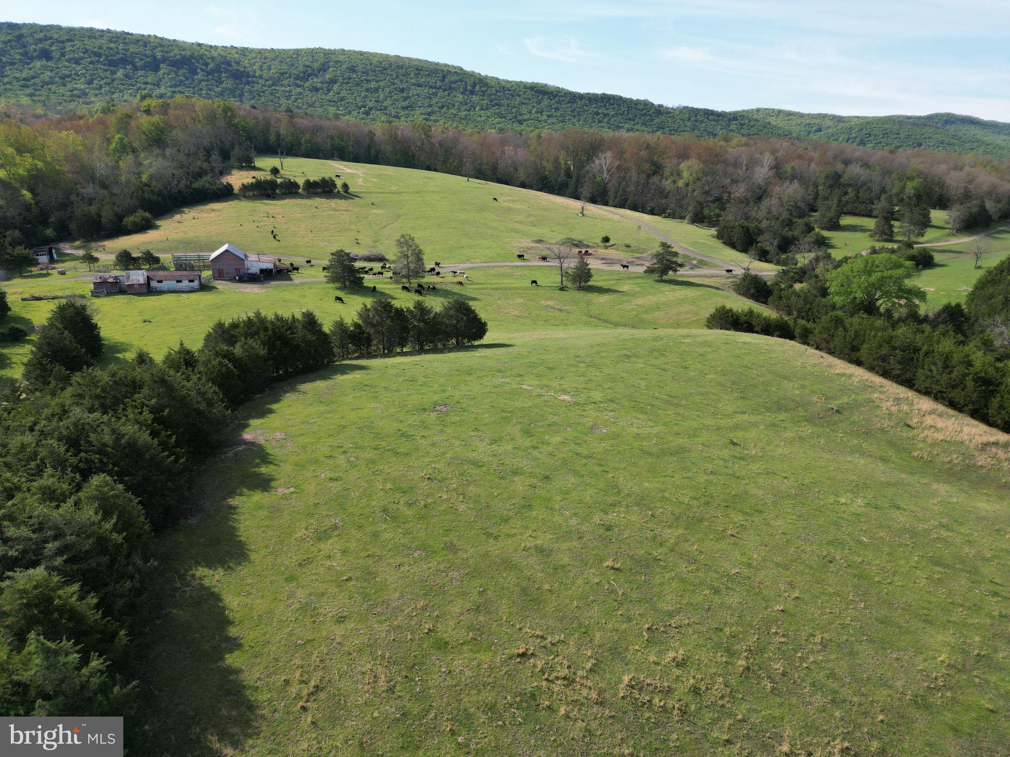 Cold Spring Hollow Lane Fort Valley, VA 22652 - Photo 94 of 106