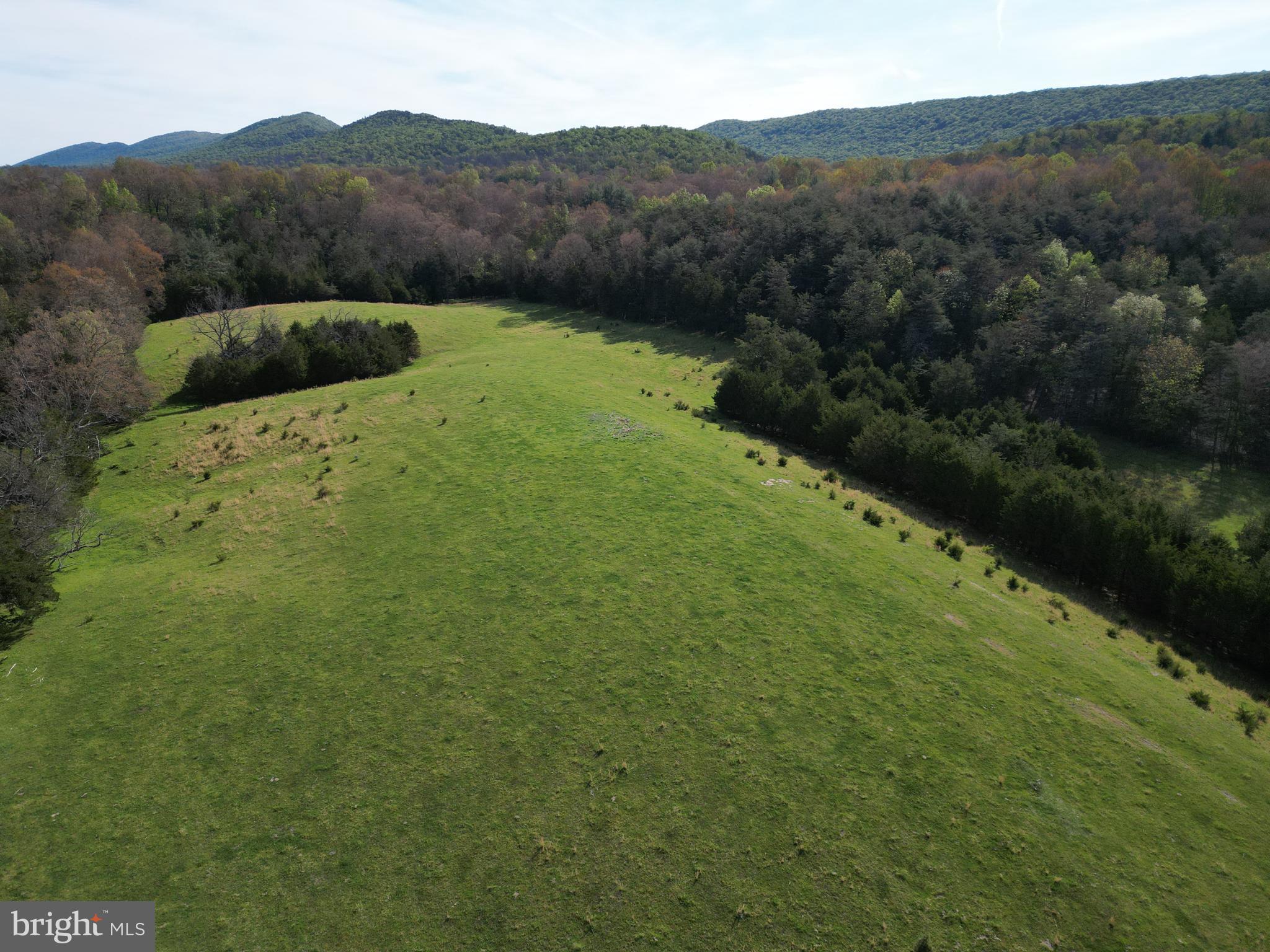 Cold Spring Hollow Lane Fort Valley, VA 22652 - Photo 95 of 106