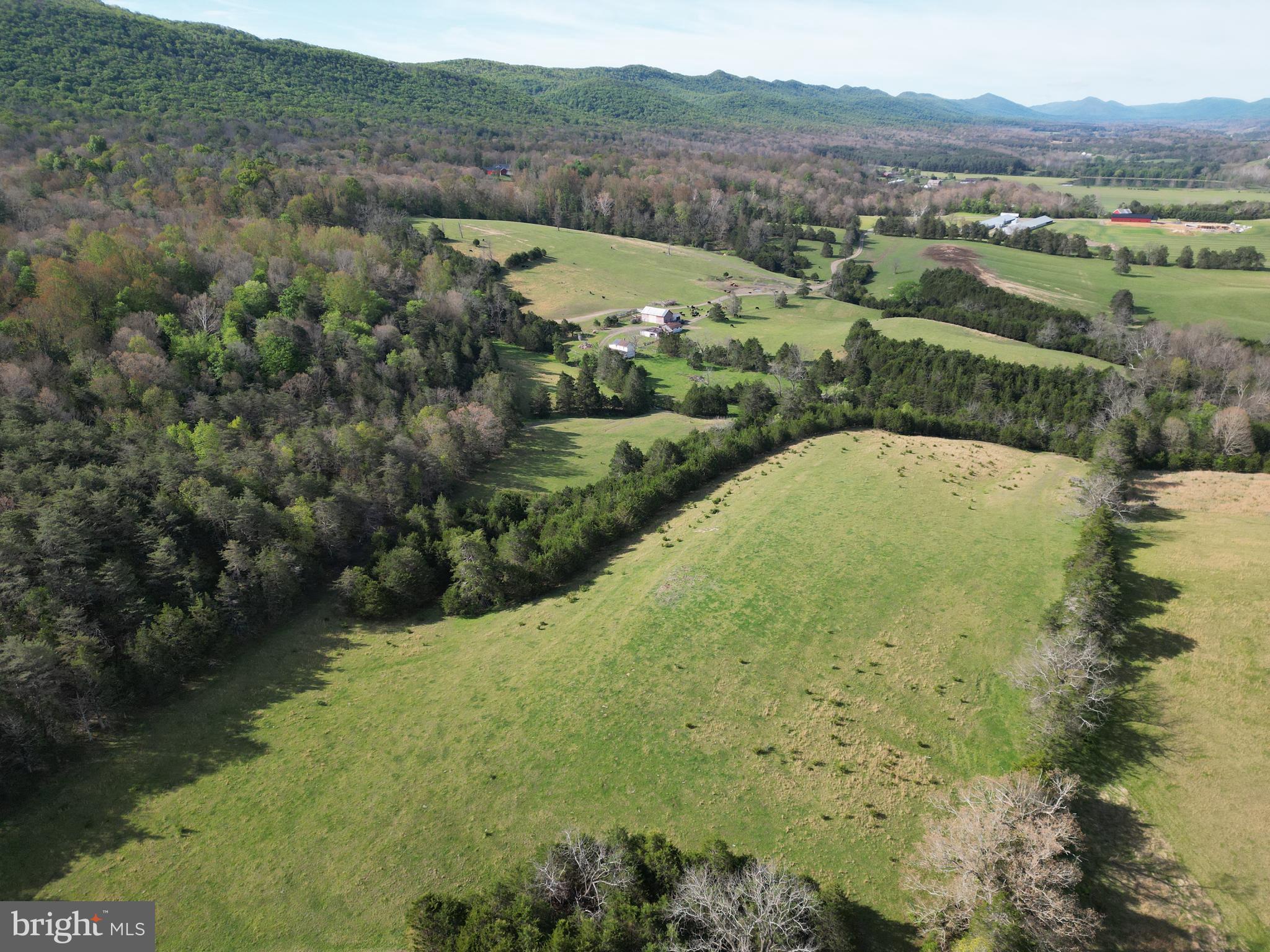 Cold Spring Hollow Lane Fort Valley, VA 22652 - Photo 96 of 106