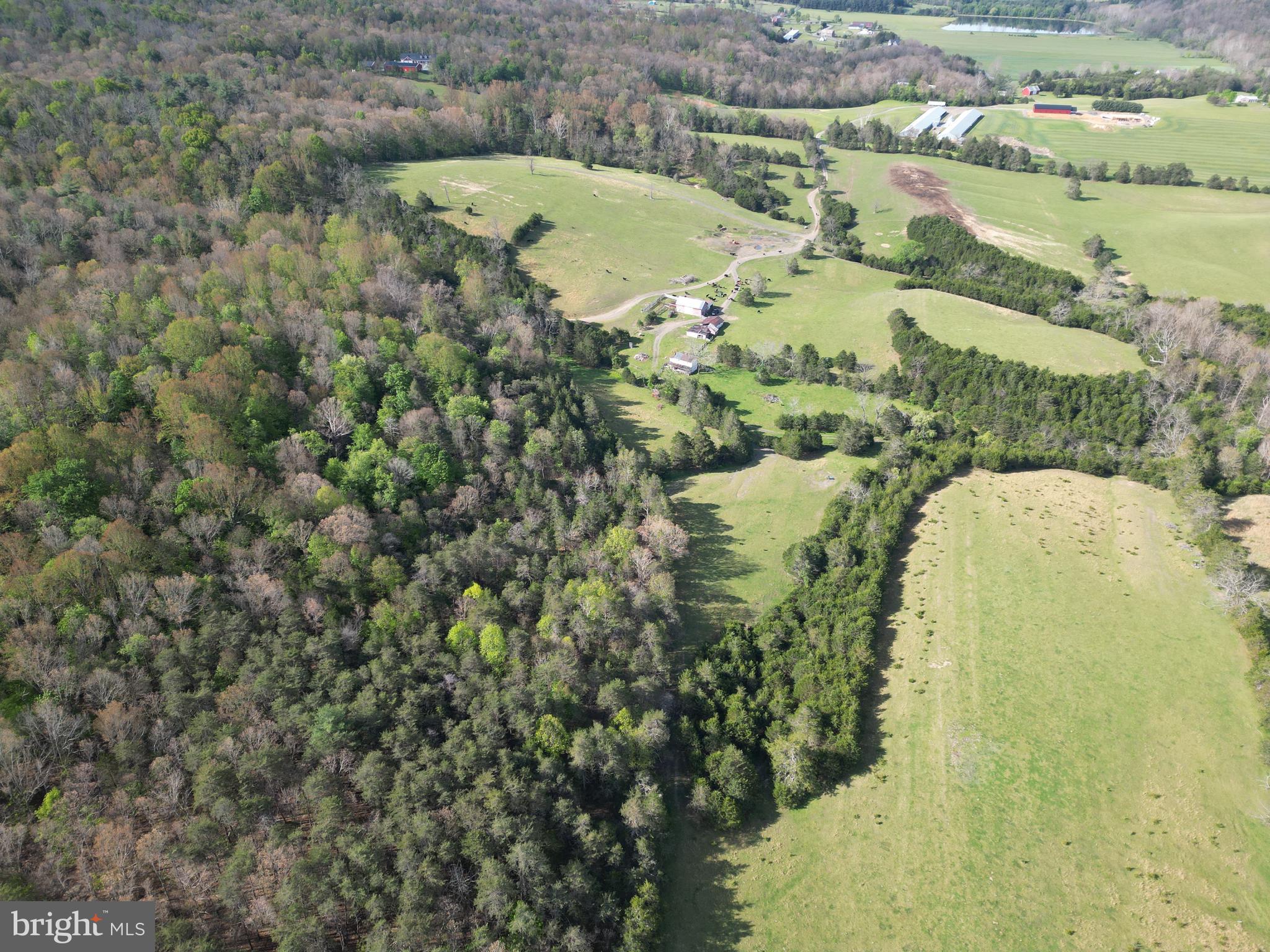 Cold Spring Hollow Lane Fort Valley, VA 22652 - Photo 97 of 106