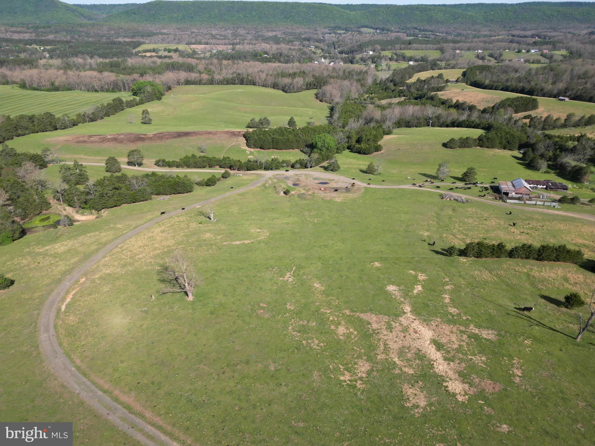Cold Spring Hollow Lane Fort Valley, VA 22652 - Photo 100 of 106