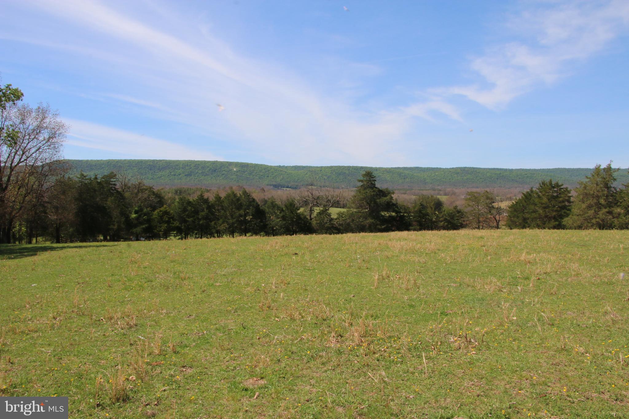 Cold Spring Hollow Lane Fort Valley, VA 22652 - Photo 10 of 106