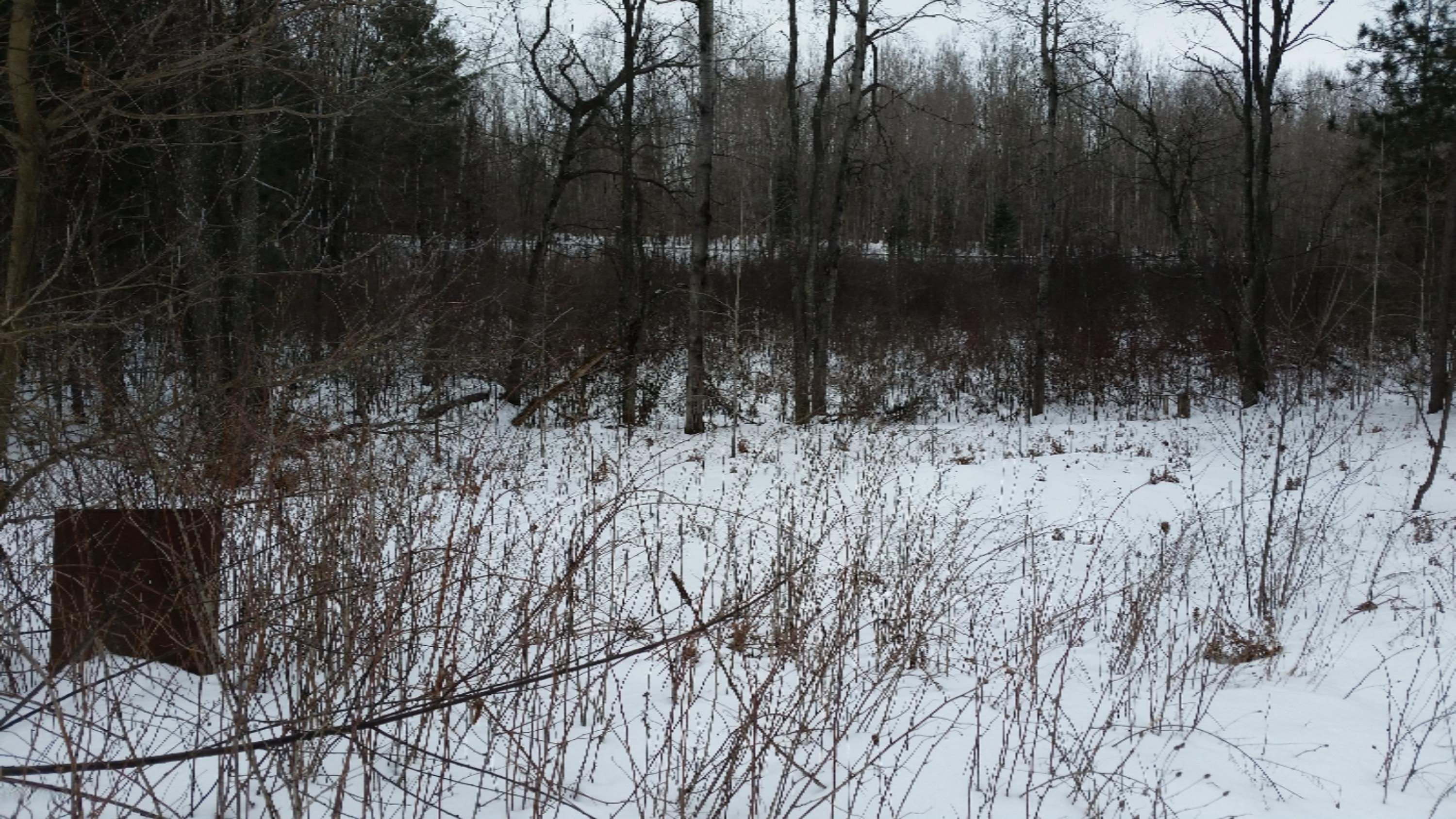 21583 Nicholas Lane Reed City, MI 49677 - Photo 7 of 13 20150119_154110