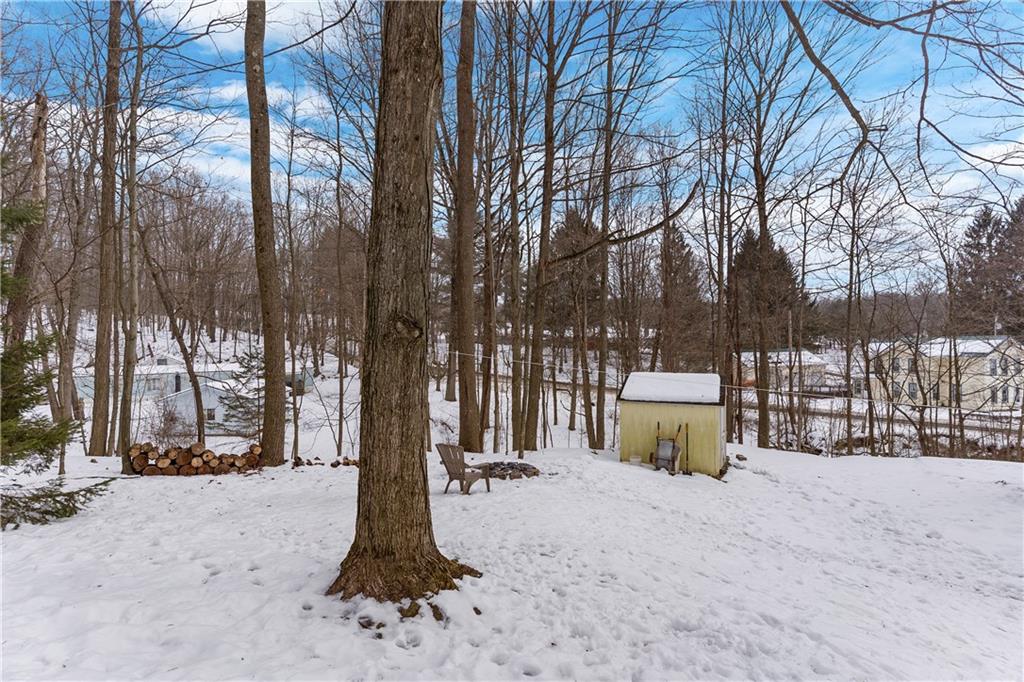 522 Spring Street Jamestown, PA 16134 - Photo 34 of 35 a street view covered with tall trees