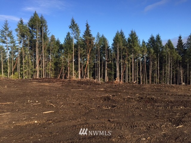 999 Olympic View Road Northwest Silverdale, WA 98383 - Photo 3 of 9 Gallery Image 3