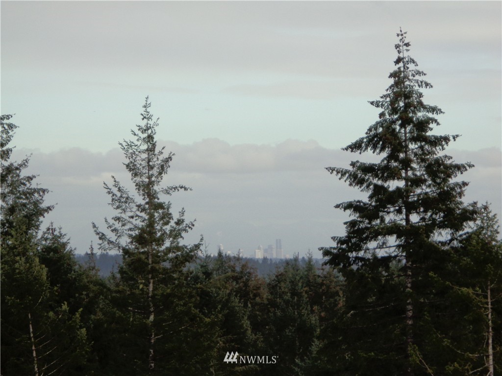999 Olympic View Road Northwest Silverdale, WA 98383 - Photo 4 of 9 Gallery Image 4