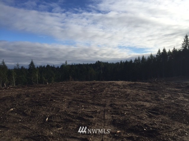 999 Olympic View Road Northwest Silverdale, WA 98383 - Photo 7 of 9 Gallery Image 7