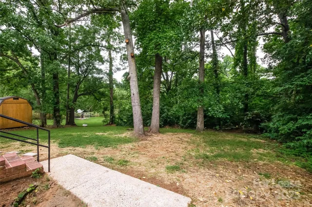 a view of a park with a trees