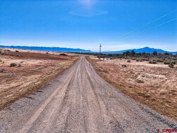 a view of a city with lush green forest