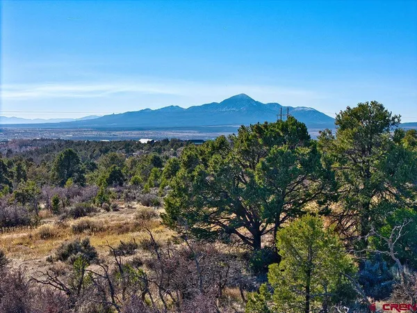 a view of a mountain in the distance in a field