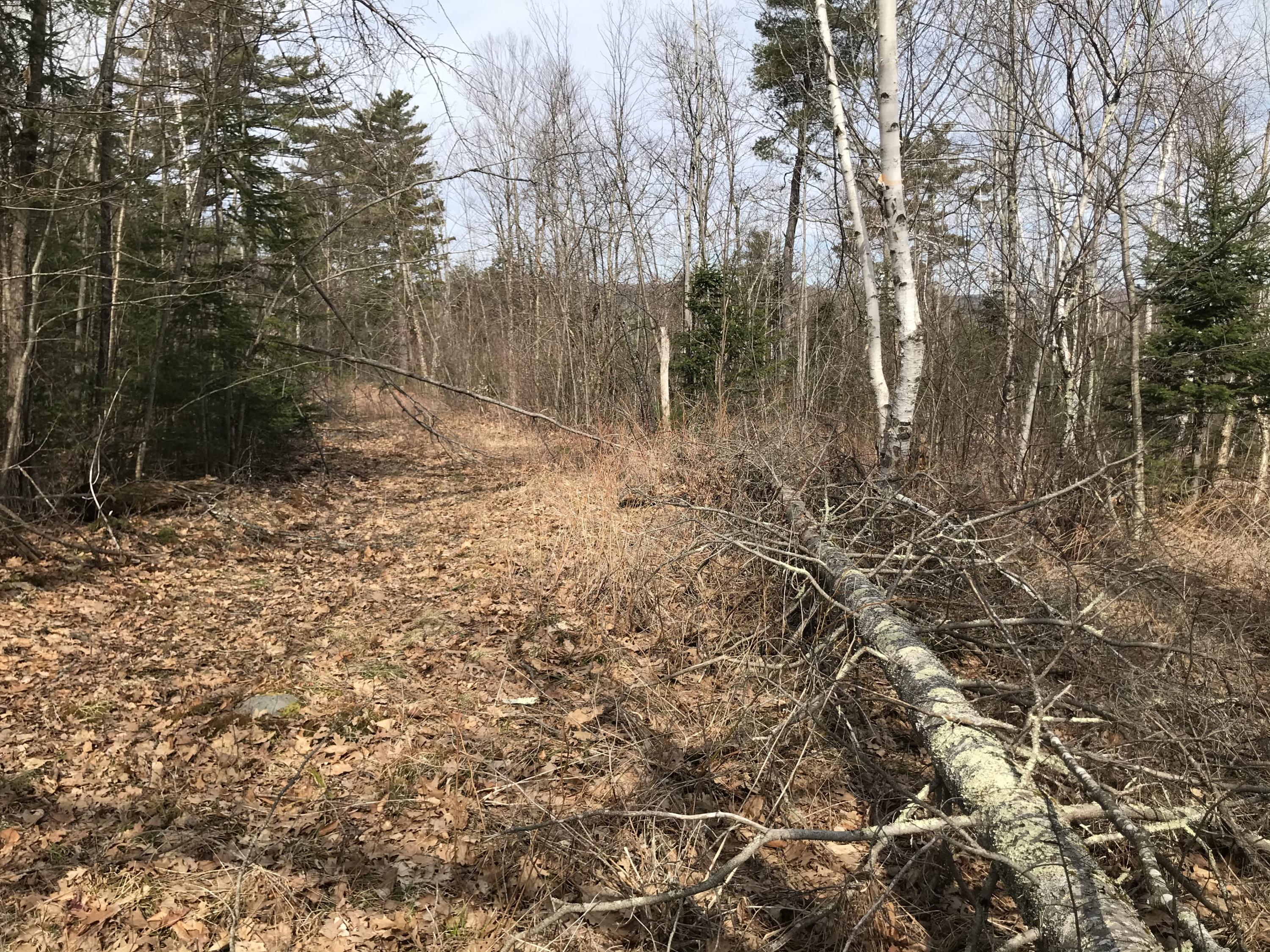 0 Reynolds Road Brooks, ME 04921 - Photo 1 of 14 586C4272-8D85-418E-B84B-2645F1C65DD9