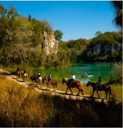39 Walnut Place Ocala, FL 34480 - Photo 37 of 37