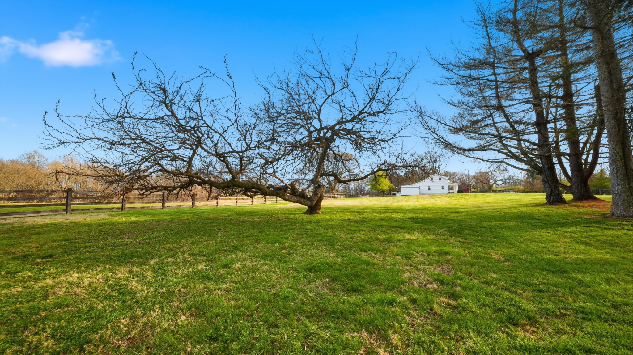 2830 Lockertsville Road Ashland City, TN 37015 - Photo 53 of 100