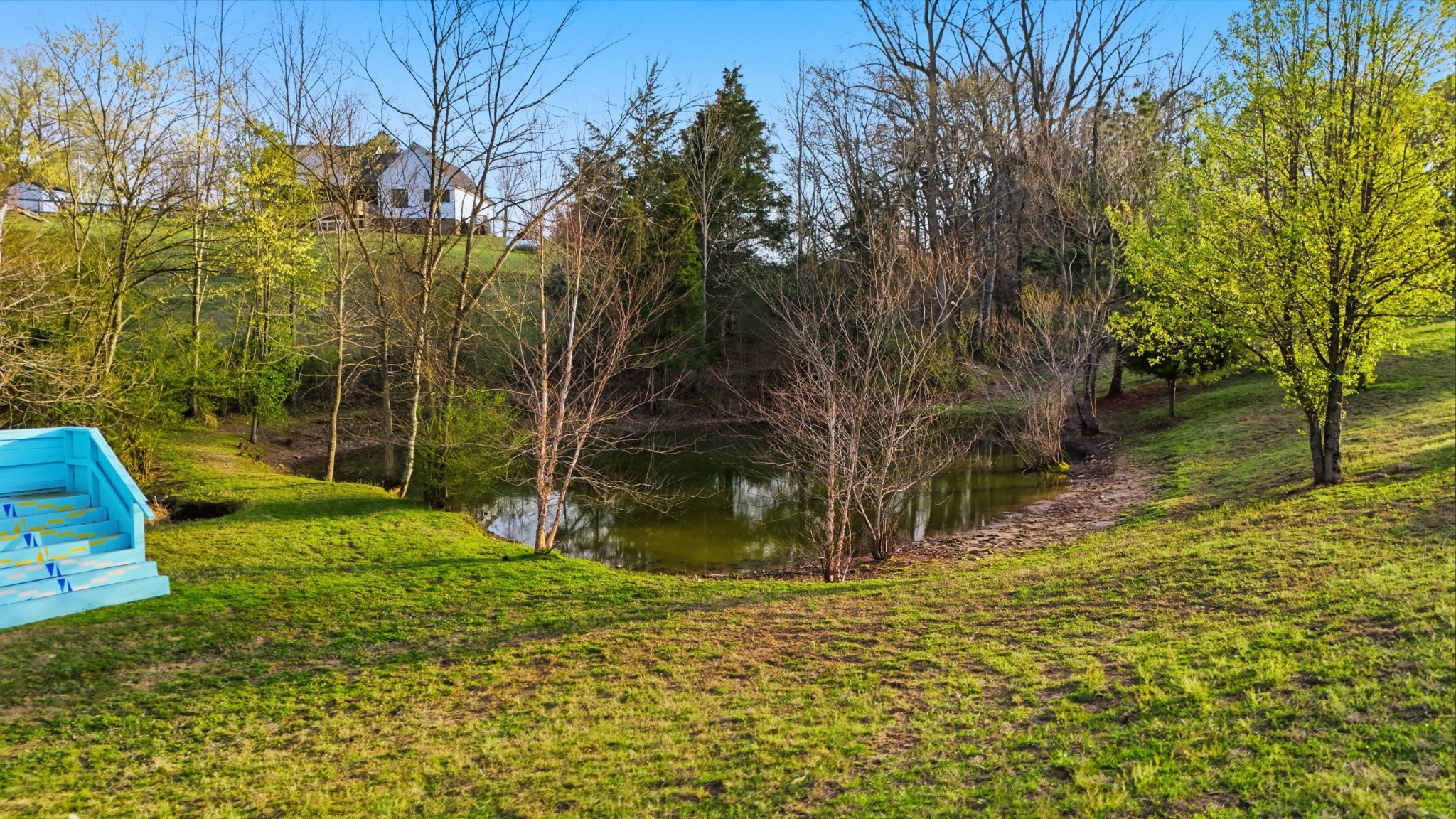2830 Lockertsville Road Ashland City, TN 37015 - Photo 55 of 100 a view of a yard with plants and trees