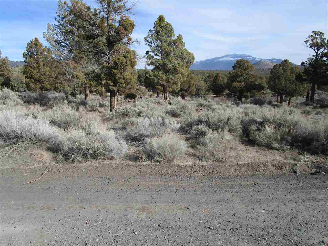 0 Buckhorn Road Montague, CA 96064 - Photo 2 of 12 Gallery Image 2