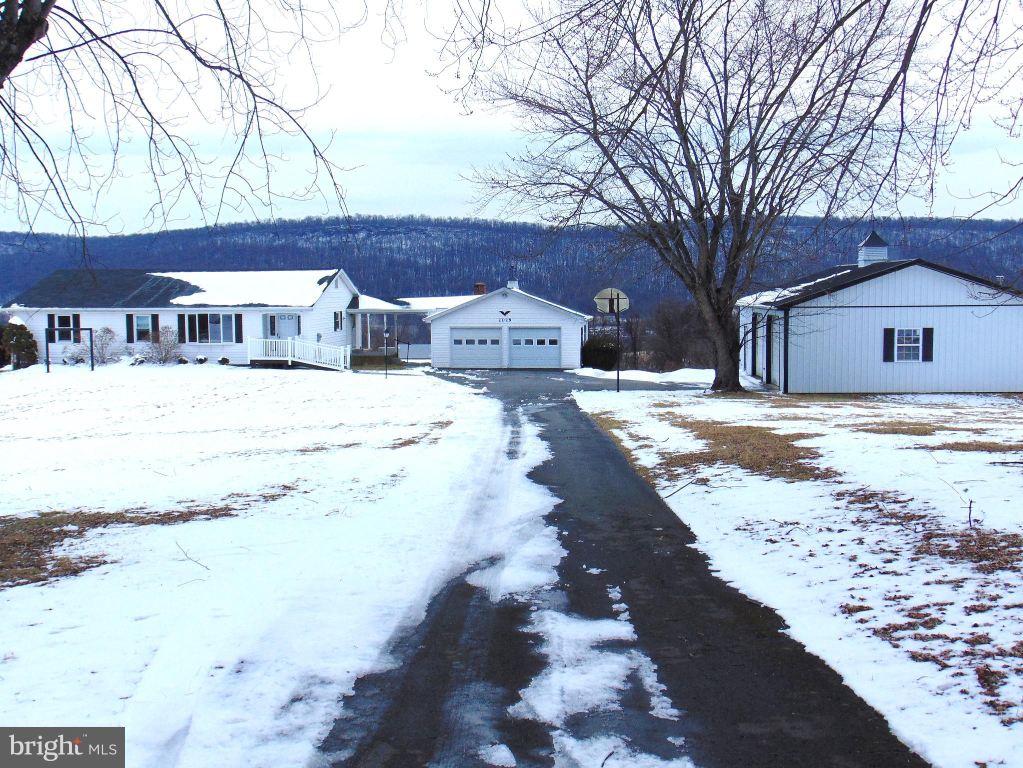 2029 Reed Road Knoxville, MD 21758 - Photo 3 of 96 Driving down the driveway