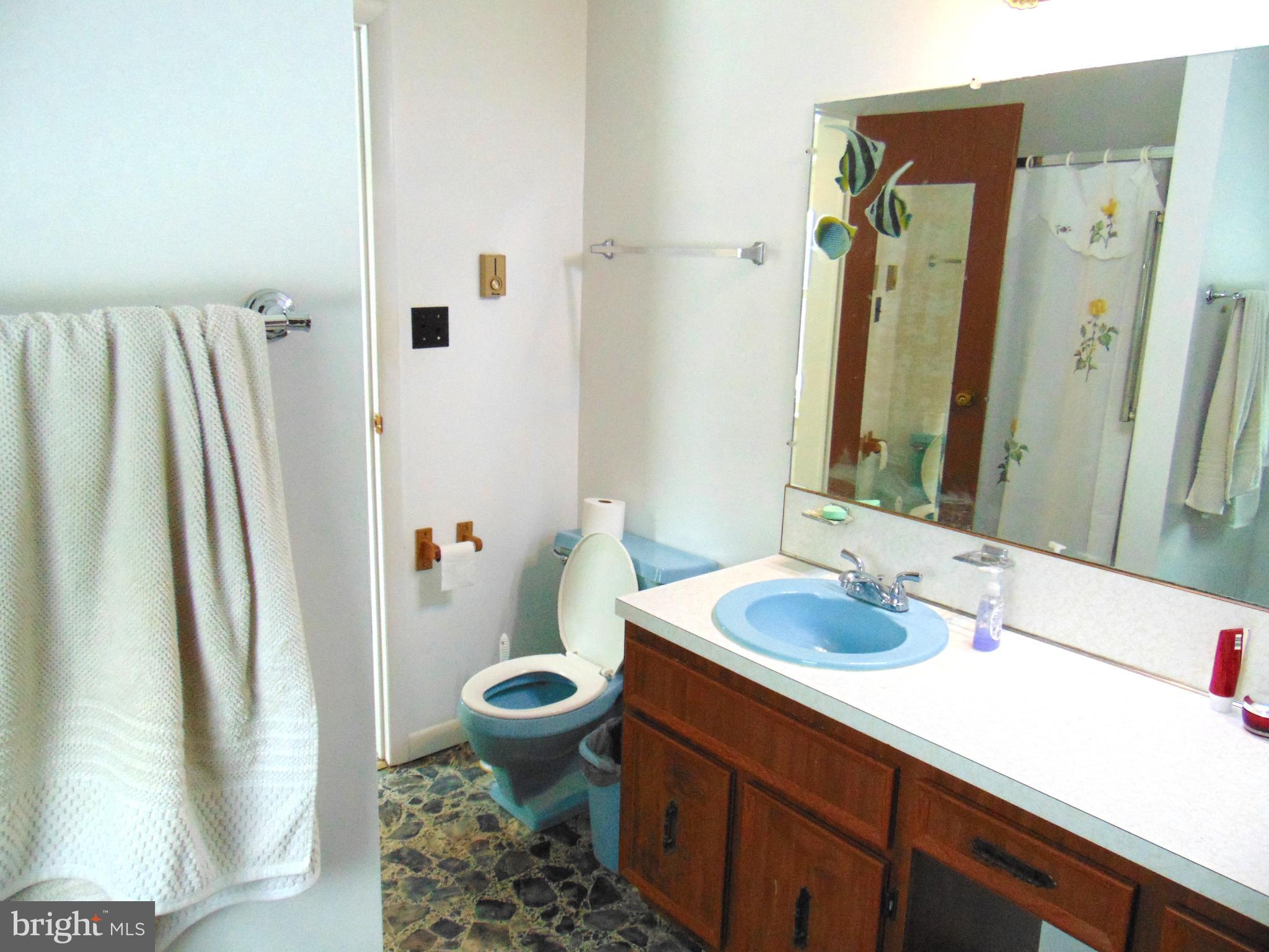 2029 Reed Road Knoxville, MD 21758 - Photo 31 of 96 Primary bath