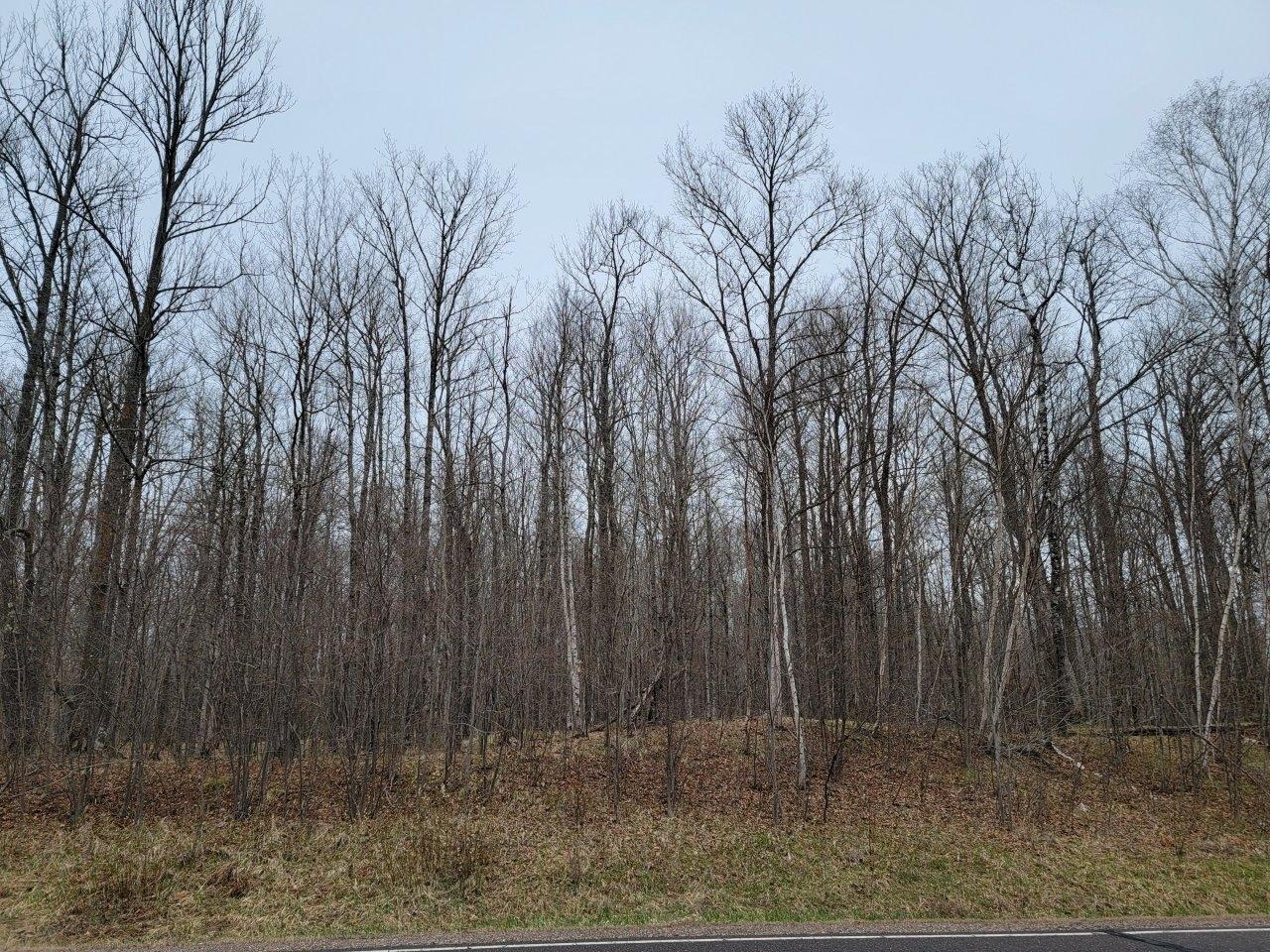 7213 Smith Road Winter, WI 54896 - Photo 22 of 27 Gallery Image 22