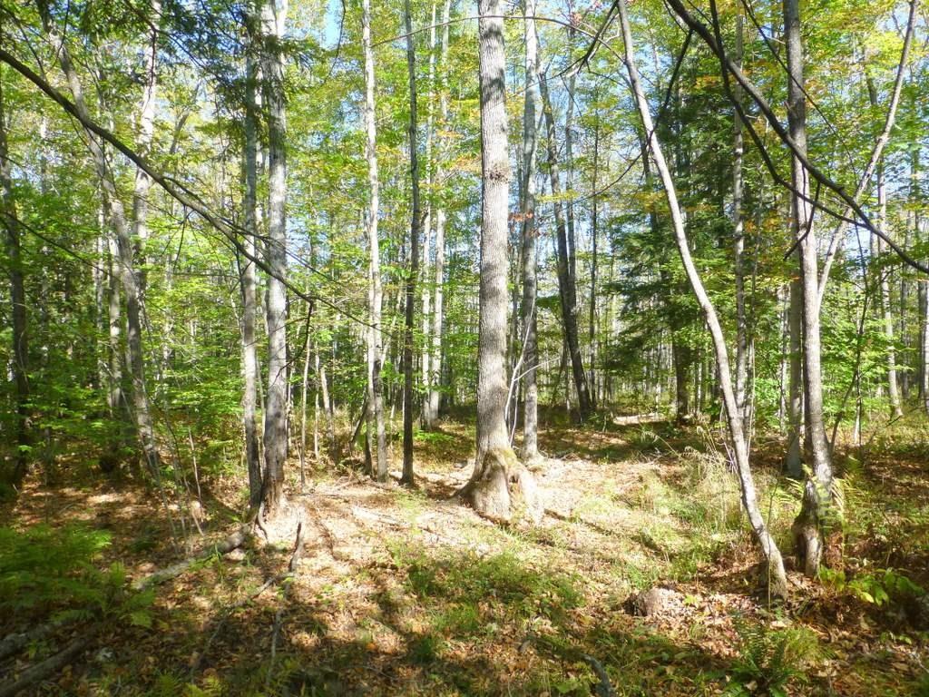 Tbd Weeks Mills Road Farmington, ME 04938 - Photo 5 of 20 Photo