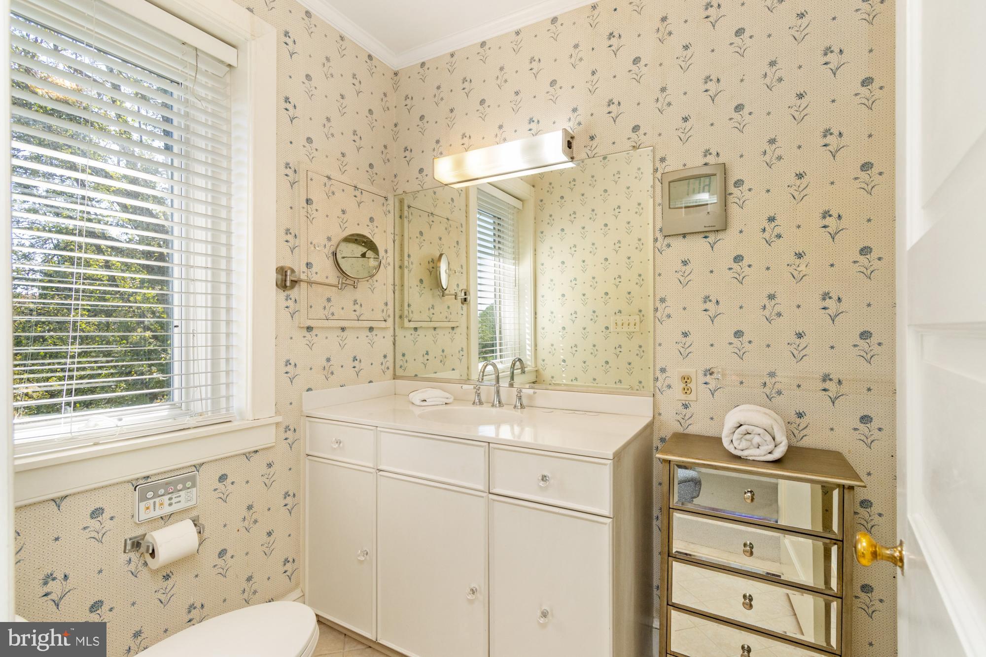 18535 Foreston Road Parkton, MD 21120 - Photo 40 of 84 Primary bathroom two.