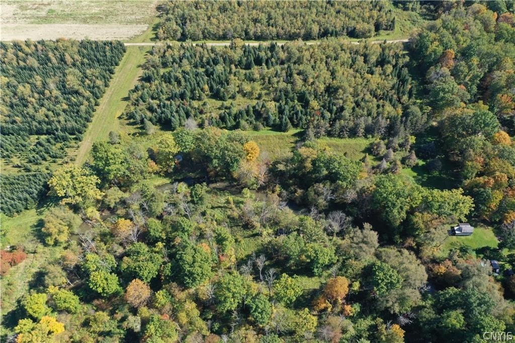 0 Bumpy Bridge Road North Prattsburgh, NY 14873 - Photo 6 of 7