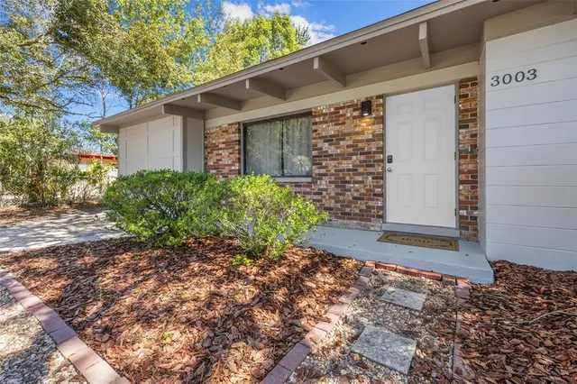 a view of a backyard with plants