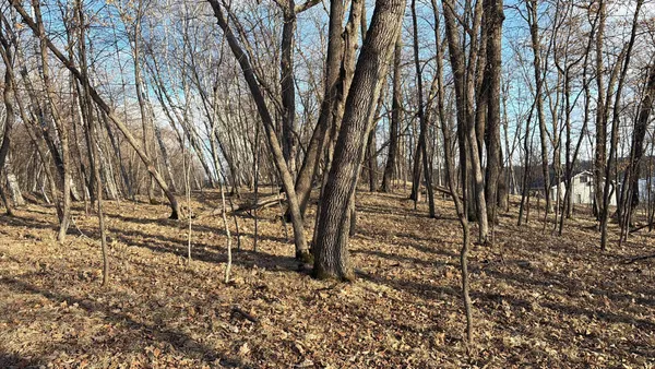 $450,000 | 495-xx Fish Lake Road, Pelican Rapids, MN 56572