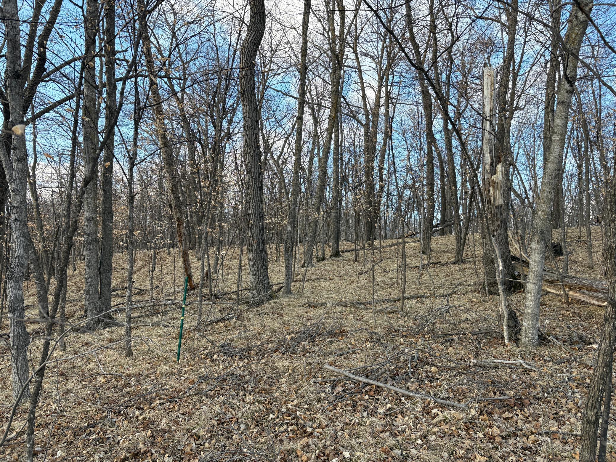 495-xx Fish Lake Road Pelican Rapids, MN 56572 - Photo 11 of 23