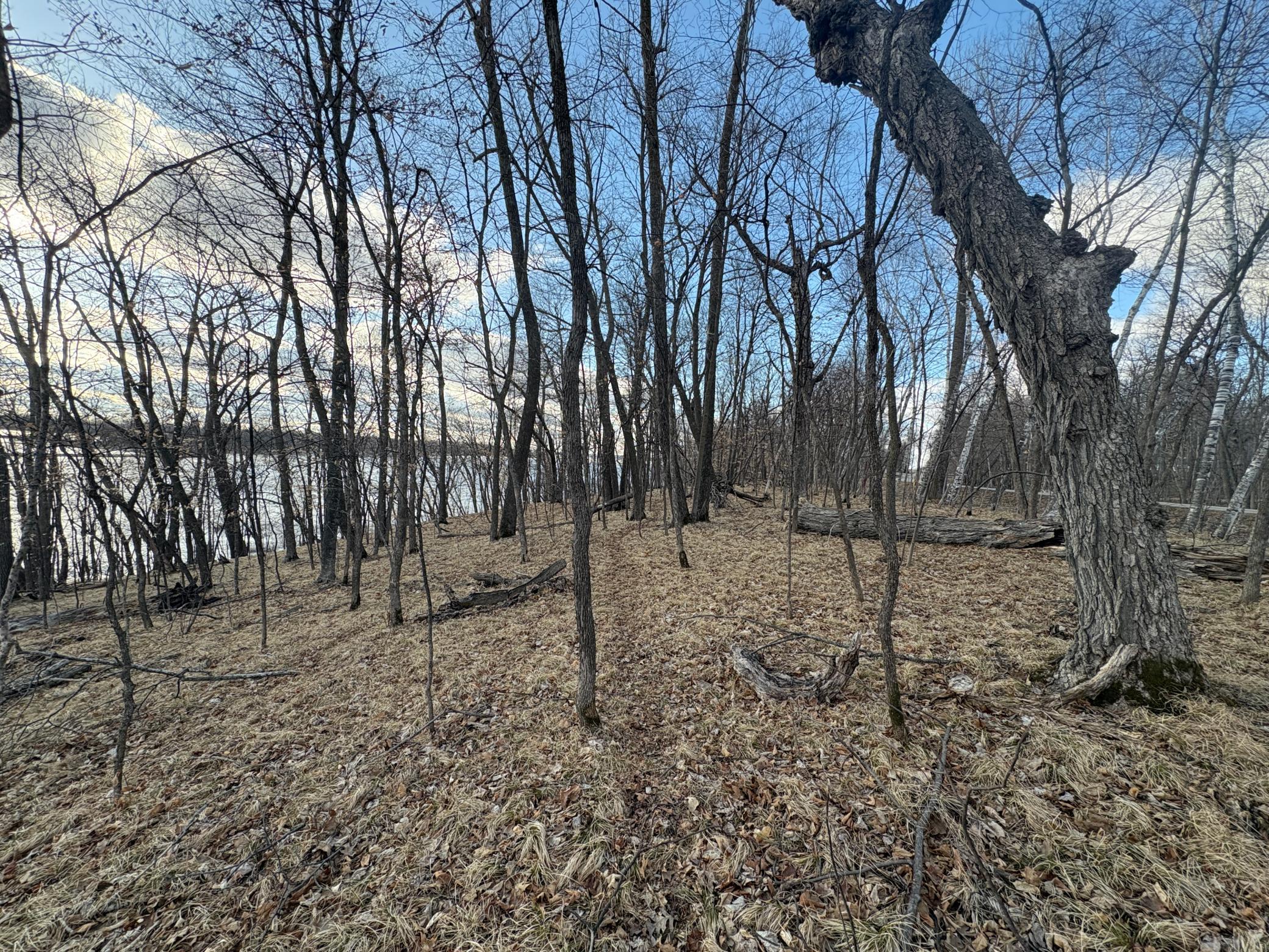 495-xx Fish Lake Road Pelican Rapids, MN 56572 - Photo 12 of 23