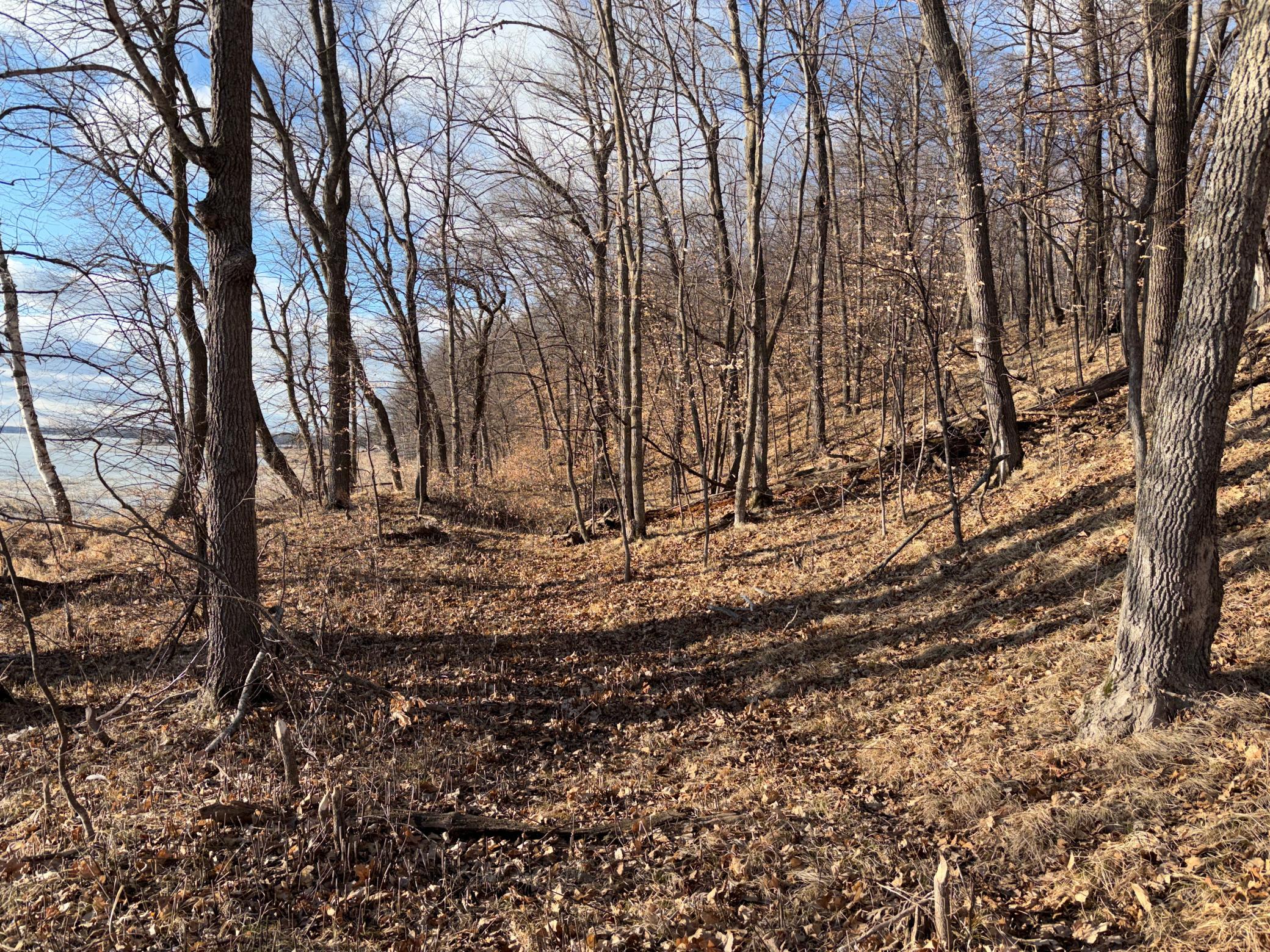 495-xx Fish Lake Road Pelican Rapids, MN 56572 - Photo 13 of 23