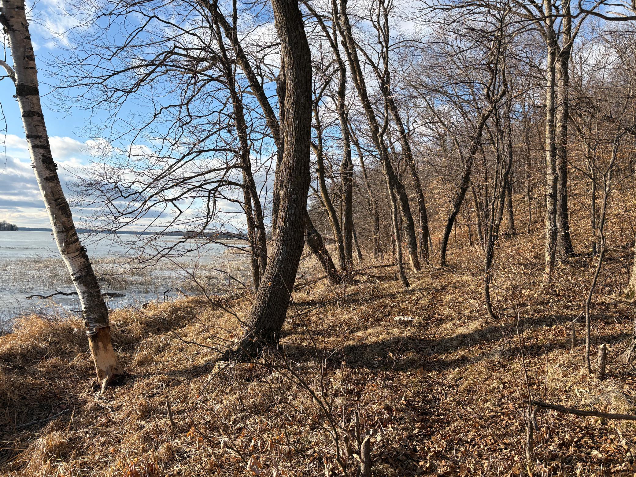 495-xx Fish Lake Road Pelican Rapids, MN 56572 - Photo 15 of 23