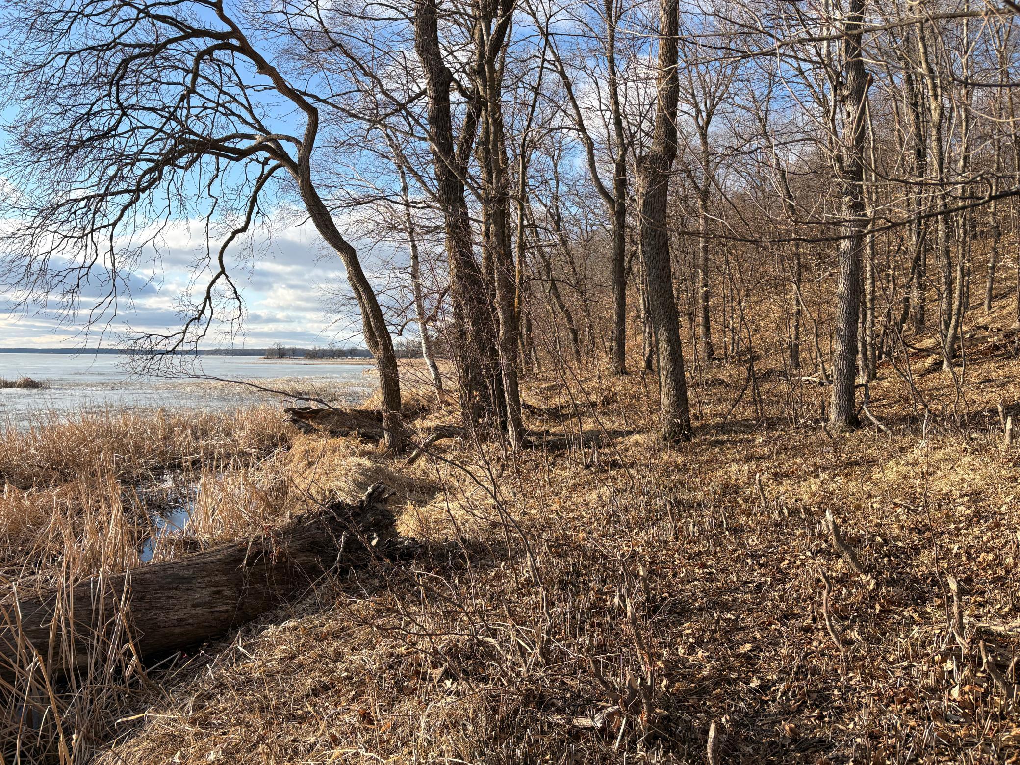 495-xx Fish Lake Road Pelican Rapids, MN 56572 - Photo 16 of 23