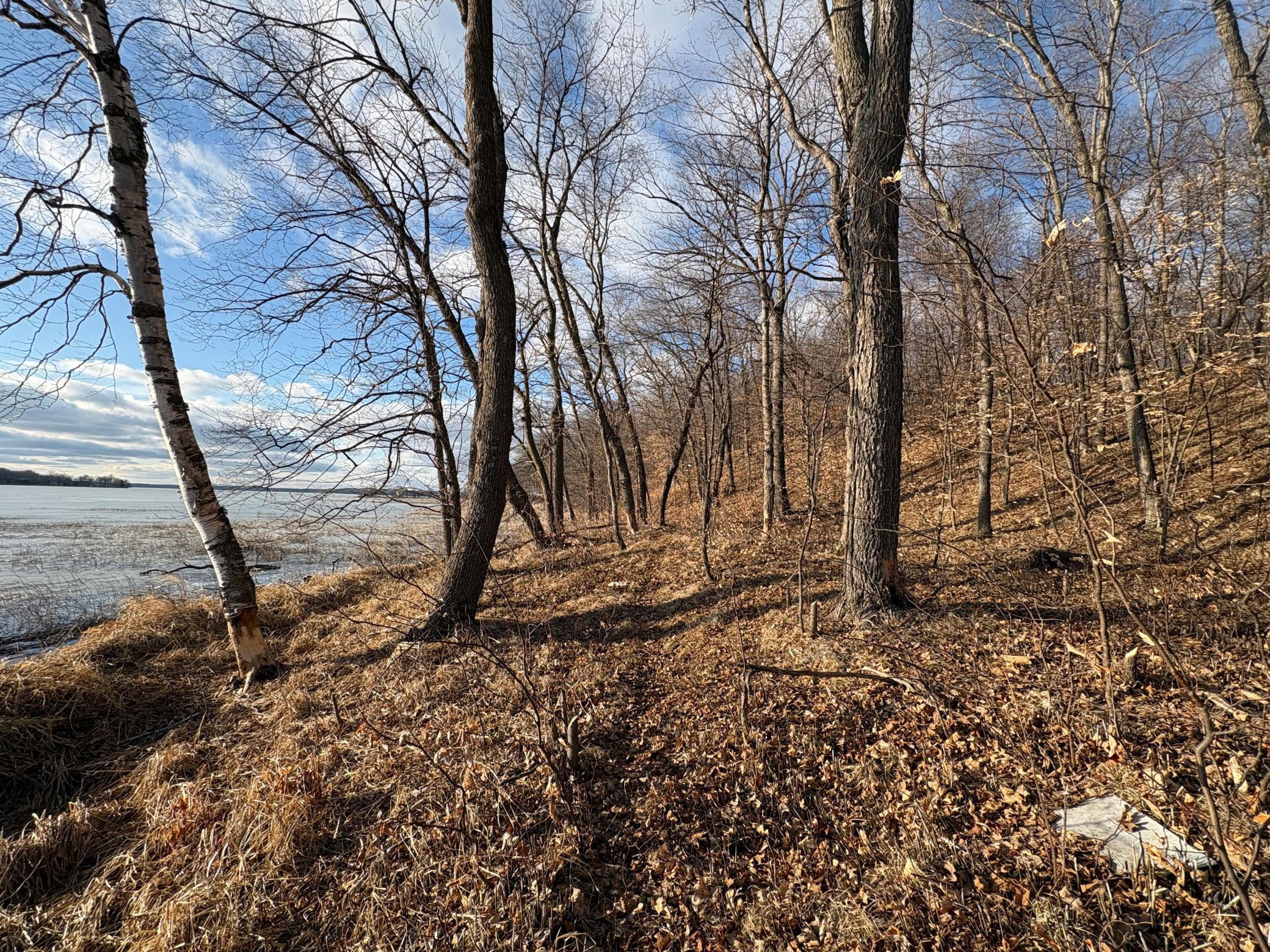 495-xx Fish Lake Road Pelican Rapids, MN 56572 - Photo 17 of 23