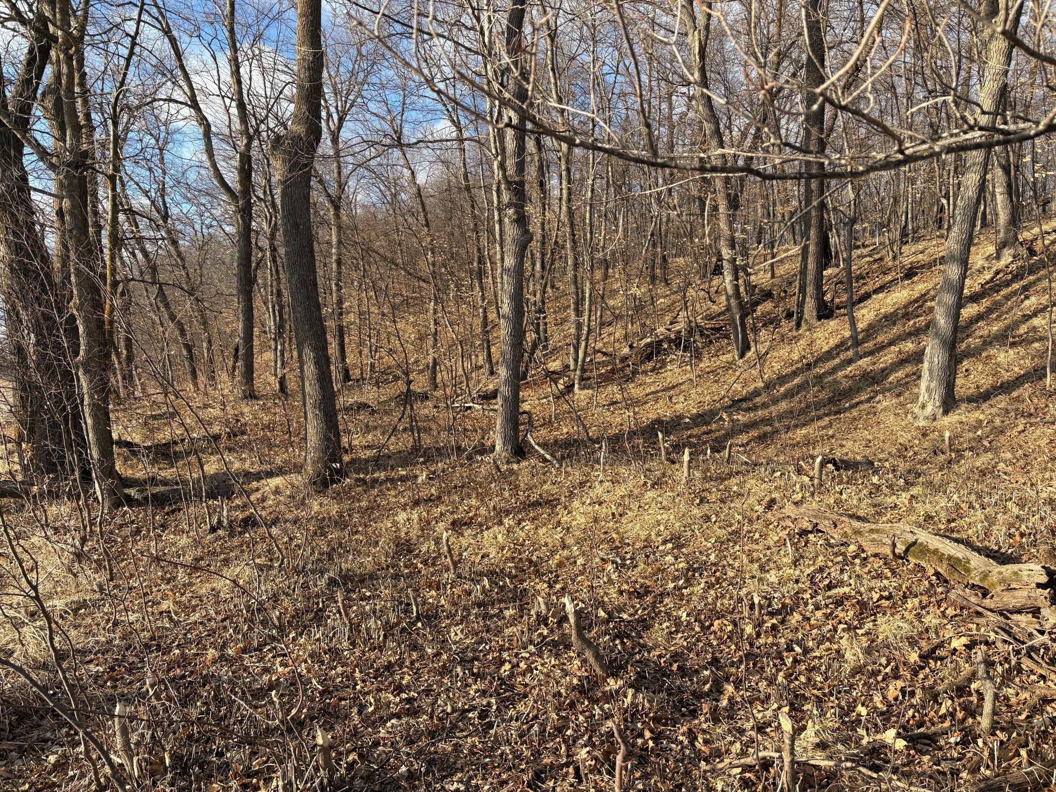 495-xx Fish Lake Road Pelican Rapids, MN 56572 - Photo 18 of 23