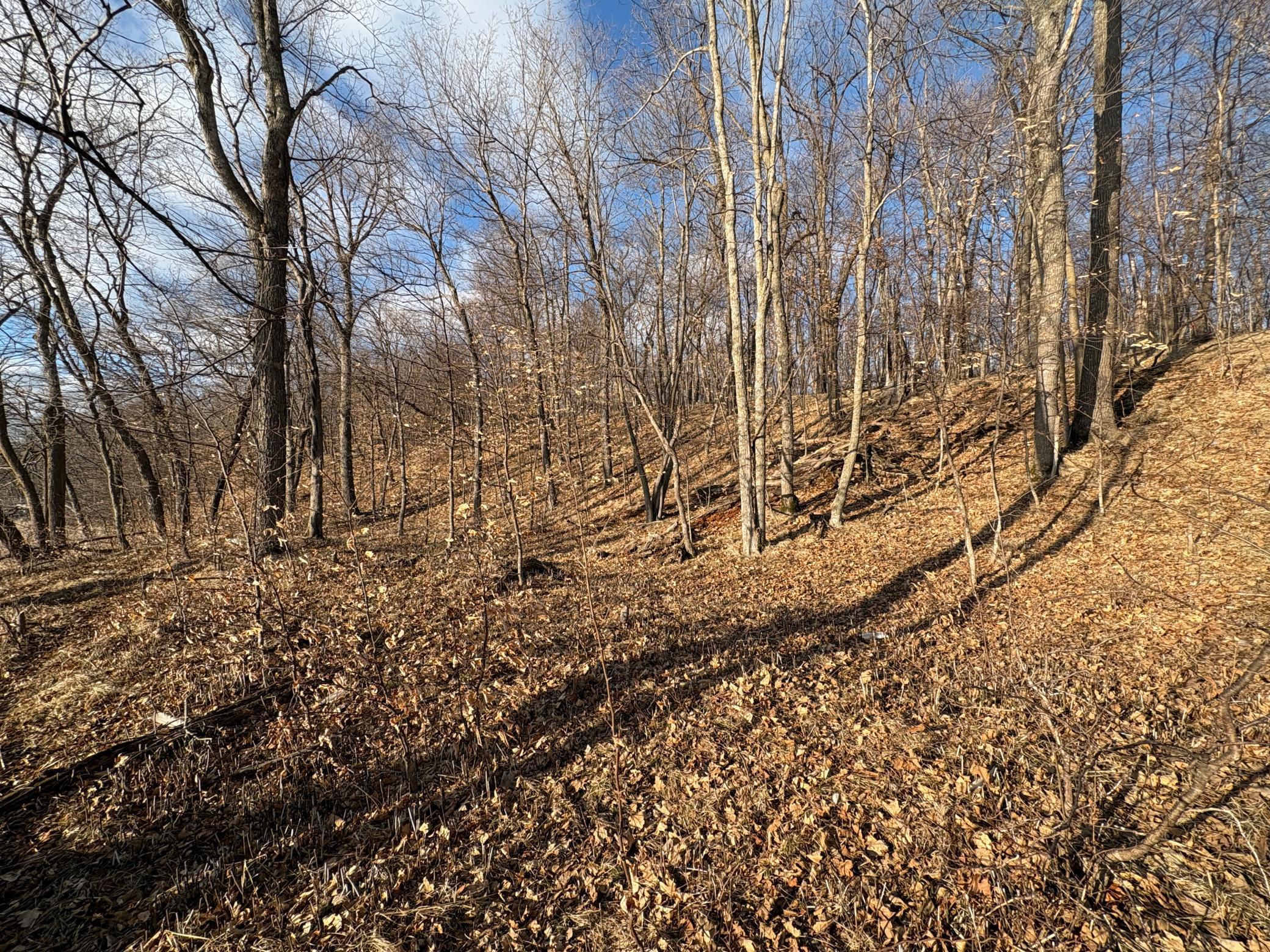 495-xx Fish Lake Road Pelican Rapids, MN 56572 - Photo 19 of 23