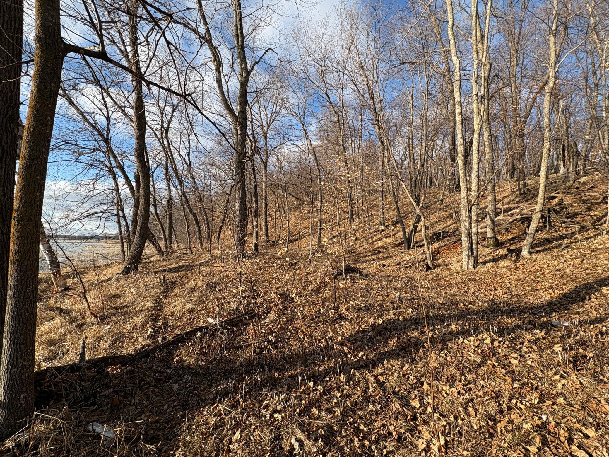 495-xx Fish Lake Road Pelican Rapids, MN 56572 - Photo 20 of 23