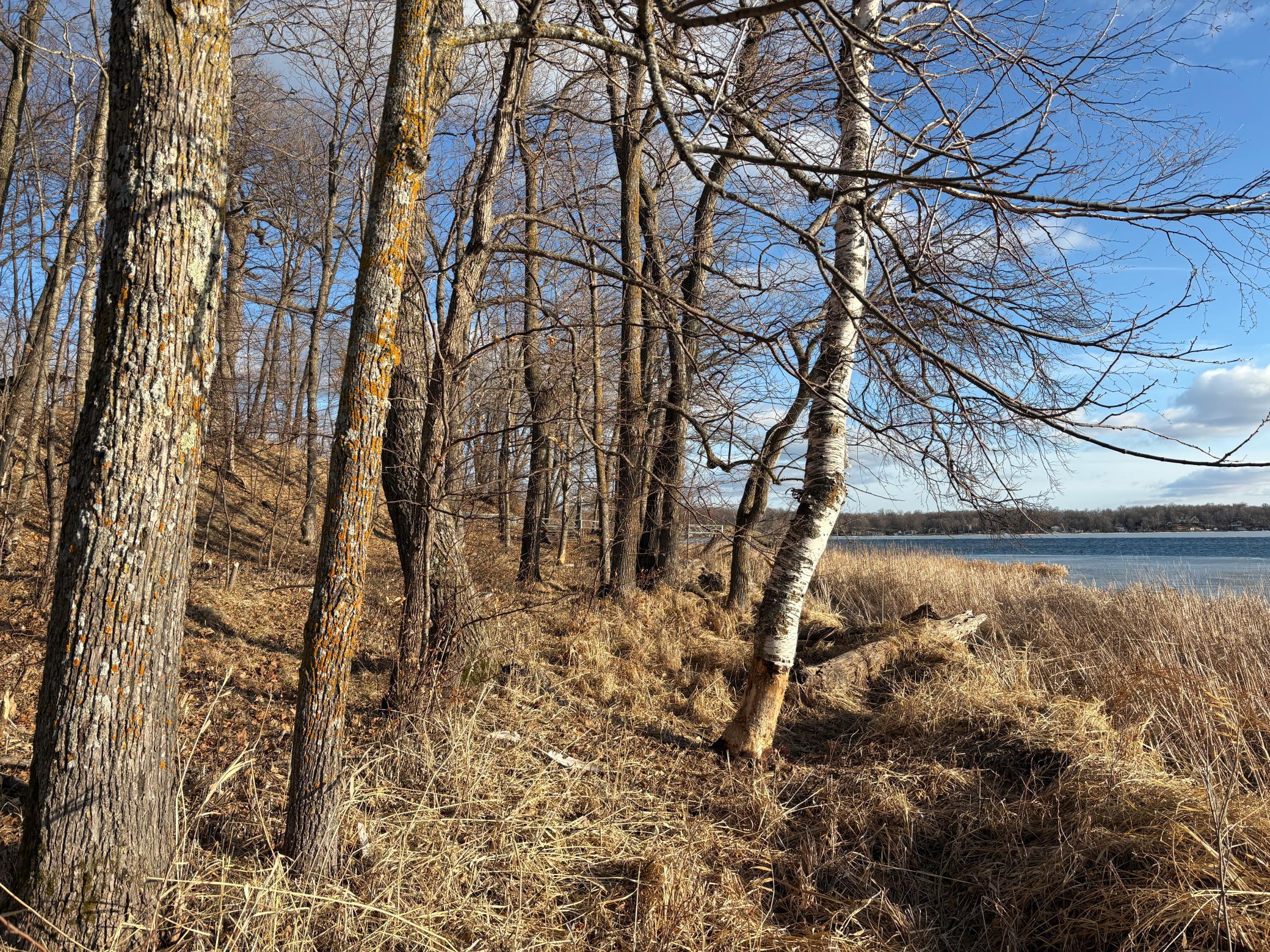 495-xx Fish Lake Road Pelican Rapids, MN 56572 - Photo 22 of 23