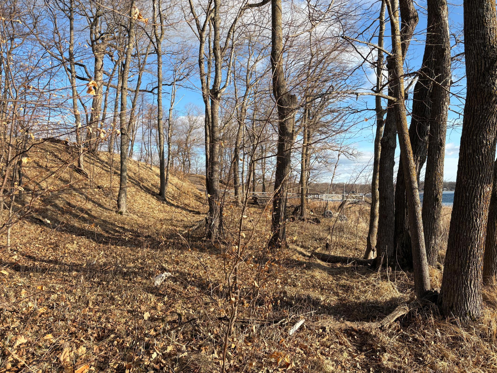 495-xx Fish Lake Road Pelican Rapids, MN 56572 - Photo 23 of 23