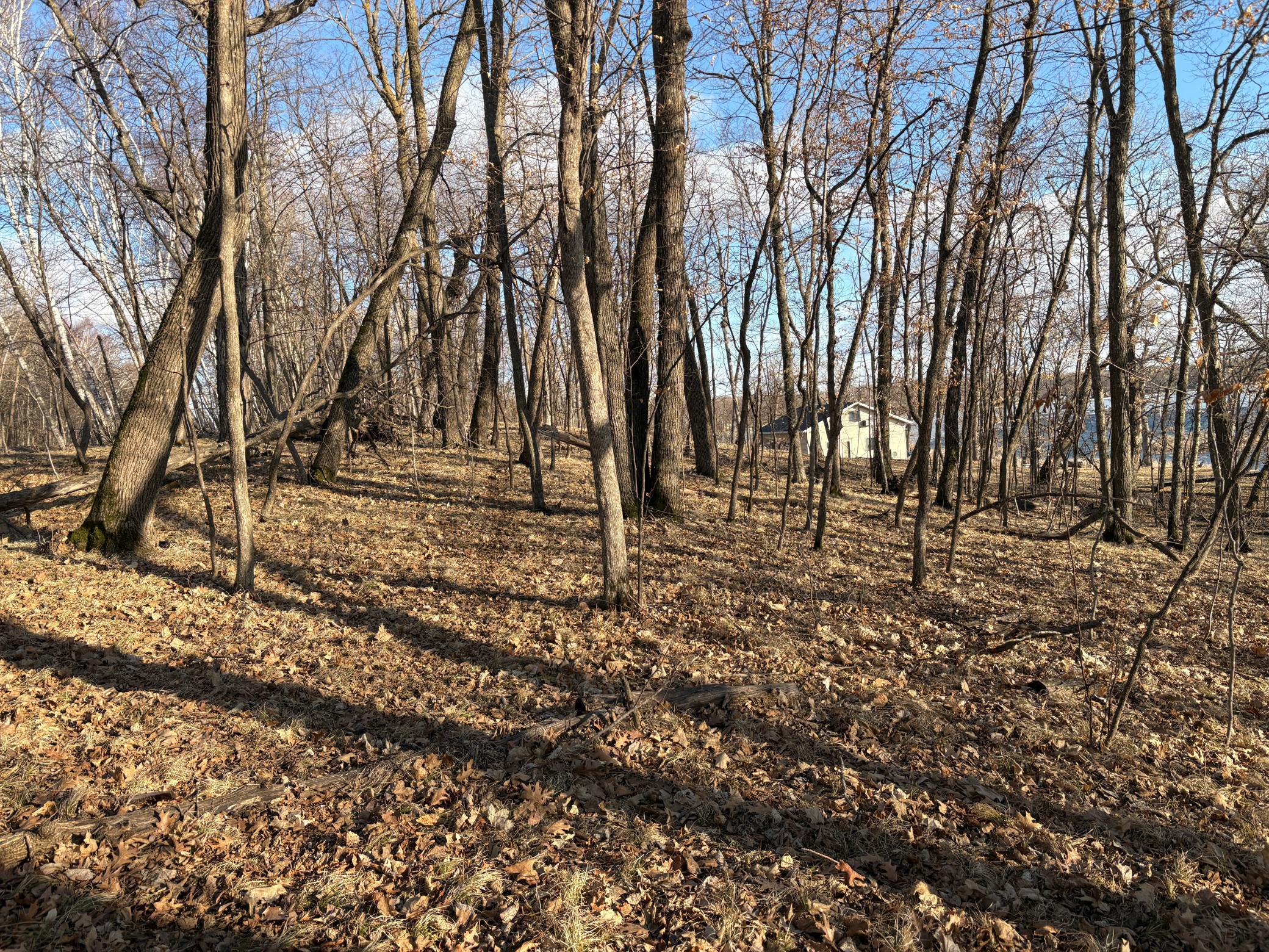 495-xx Fish Lake Road Pelican Rapids, MN 56572 - Photo 4 of 23