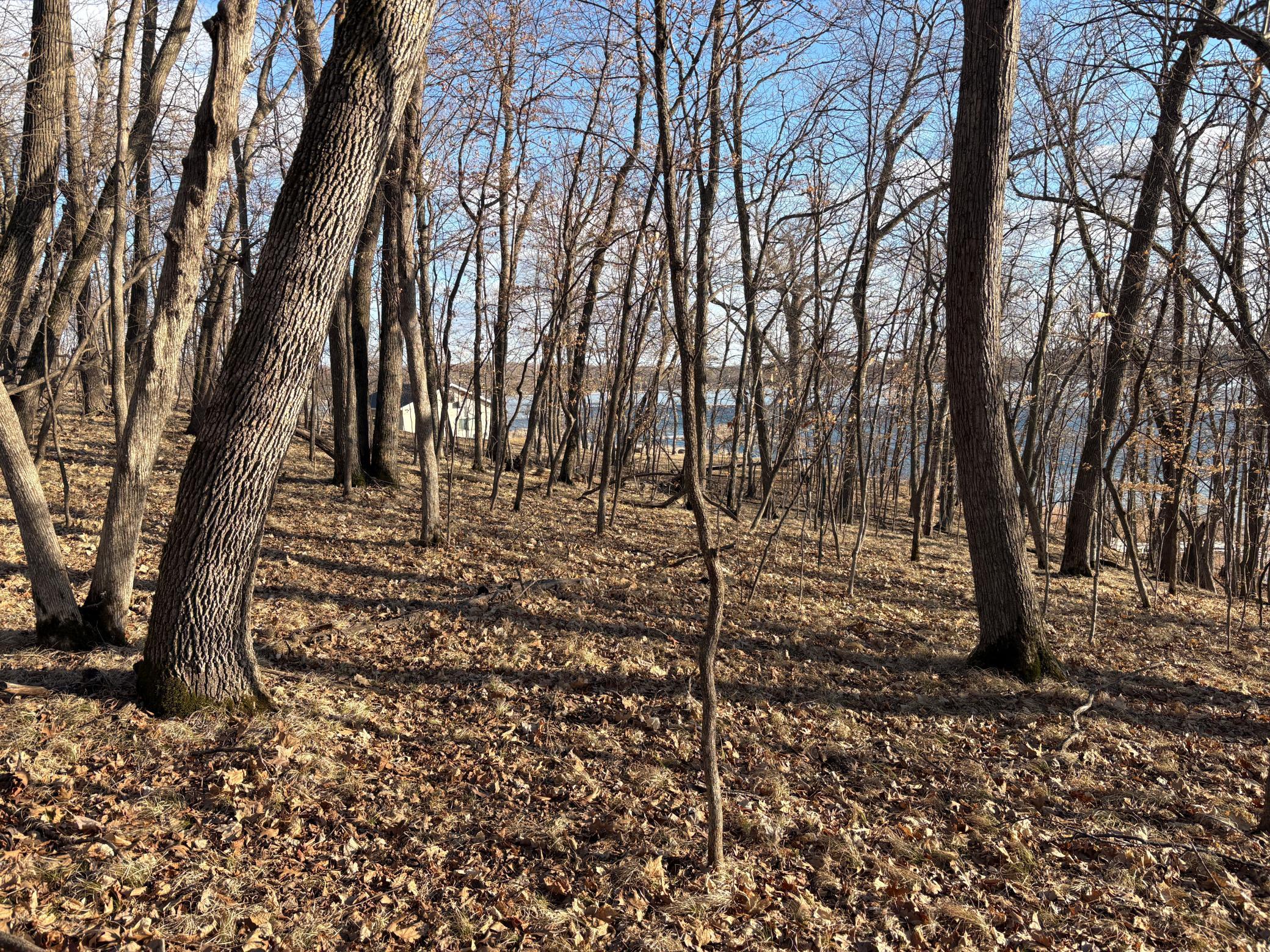 495-xx Fish Lake Road Pelican Rapids, MN 56572 - Photo 5 of 23