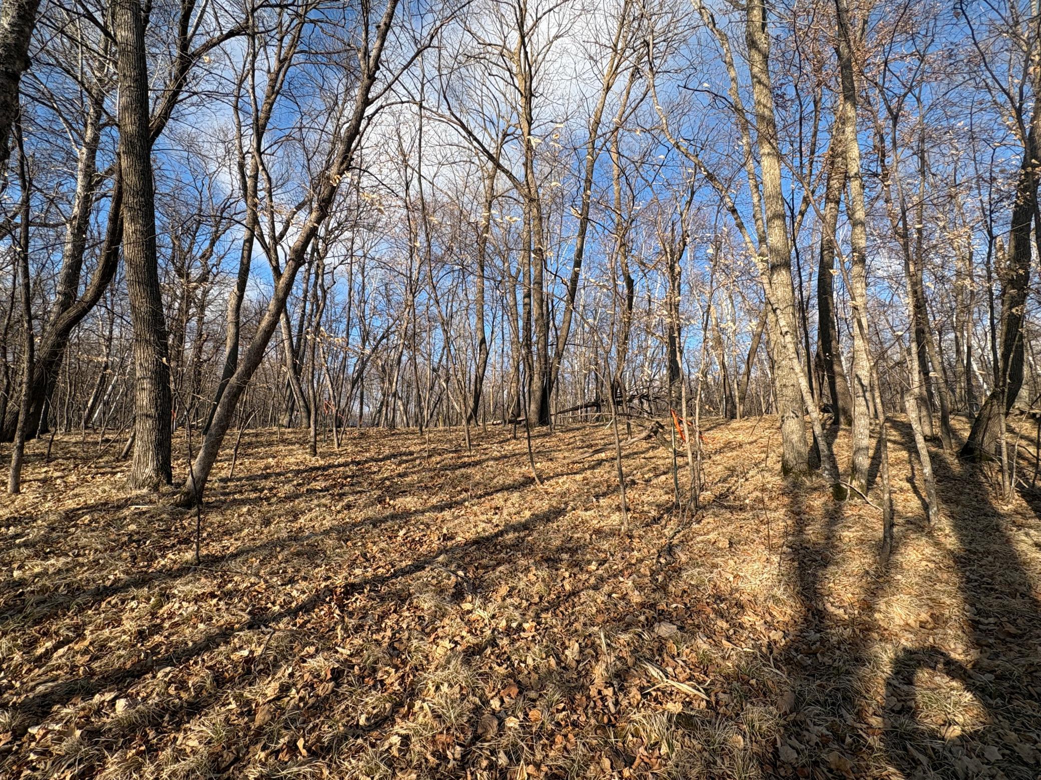 495-xx Fish Lake Road Pelican Rapids, MN 56572 - Photo 8 of 23