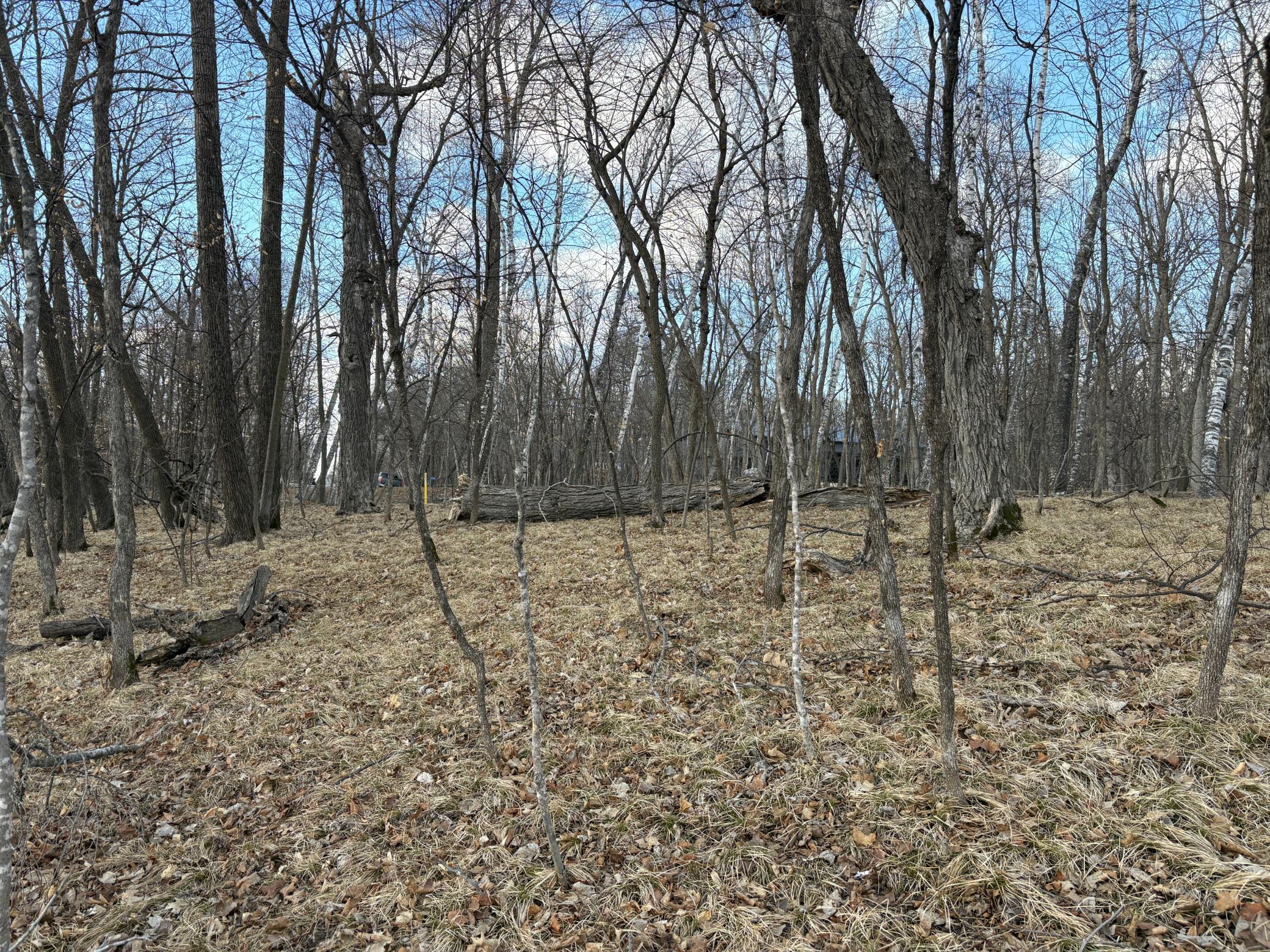 495-xx Fish Lake Road Pelican Rapids, MN 56572 - Photo 9 of 23