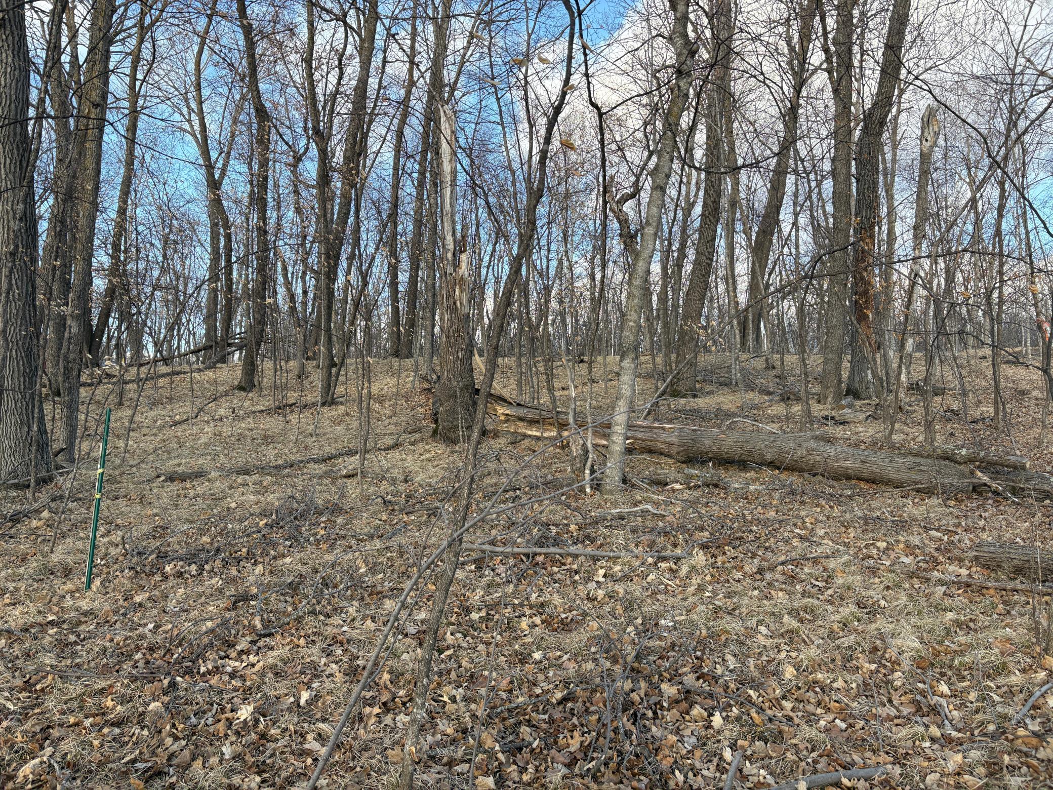 495-xx Fish Lake Road Pelican Rapids, MN 56572 - Photo 10 of 23