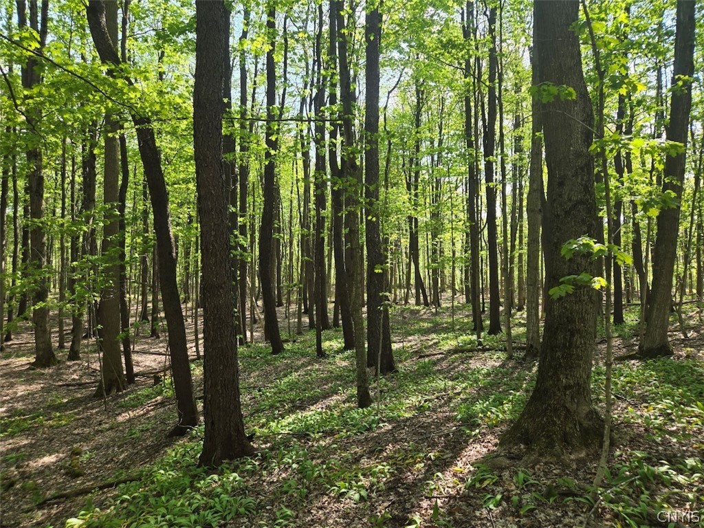 Pochuck Road Bliss, NY 14024 - Photo 7 of 23