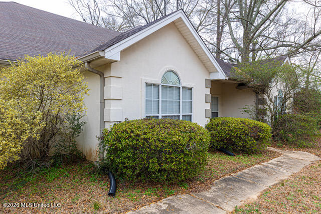5890 Hanging Moss Road Jackson, MS 39206 - Photo 3 of 46 0D0A0751