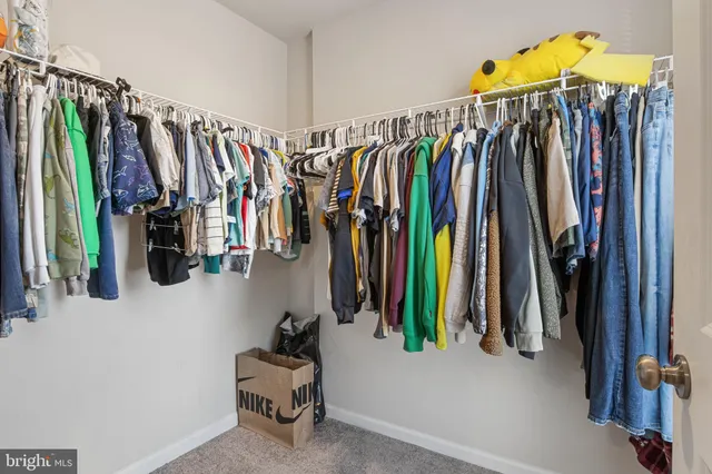 a bedroom with two beds and a window