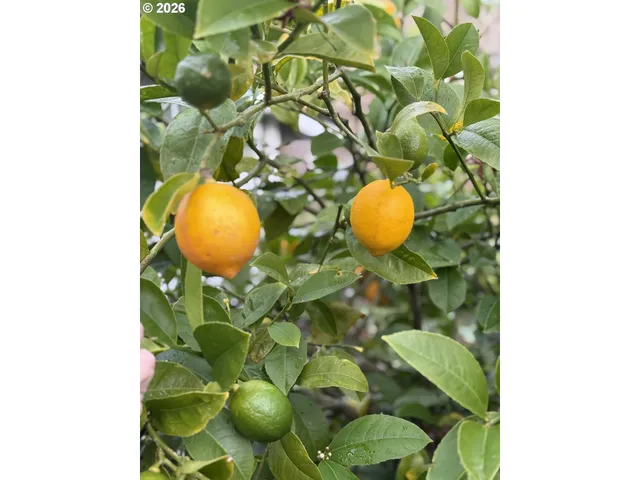 $599,000 | 15130 Highway 101, Brookings, OR 97415