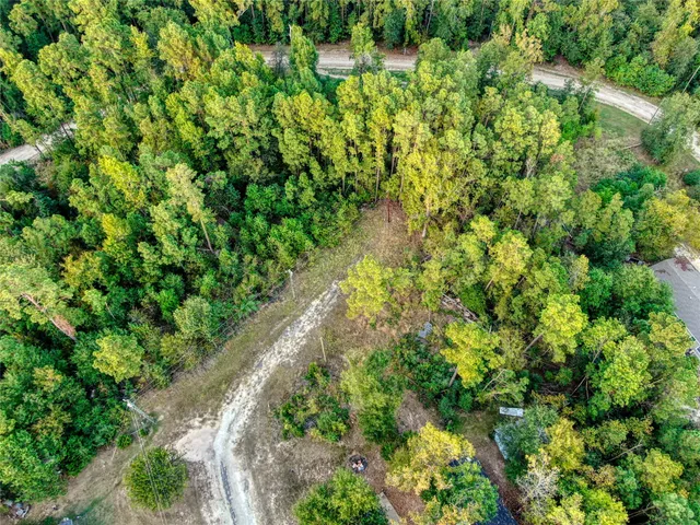 a view of a garden with a plant